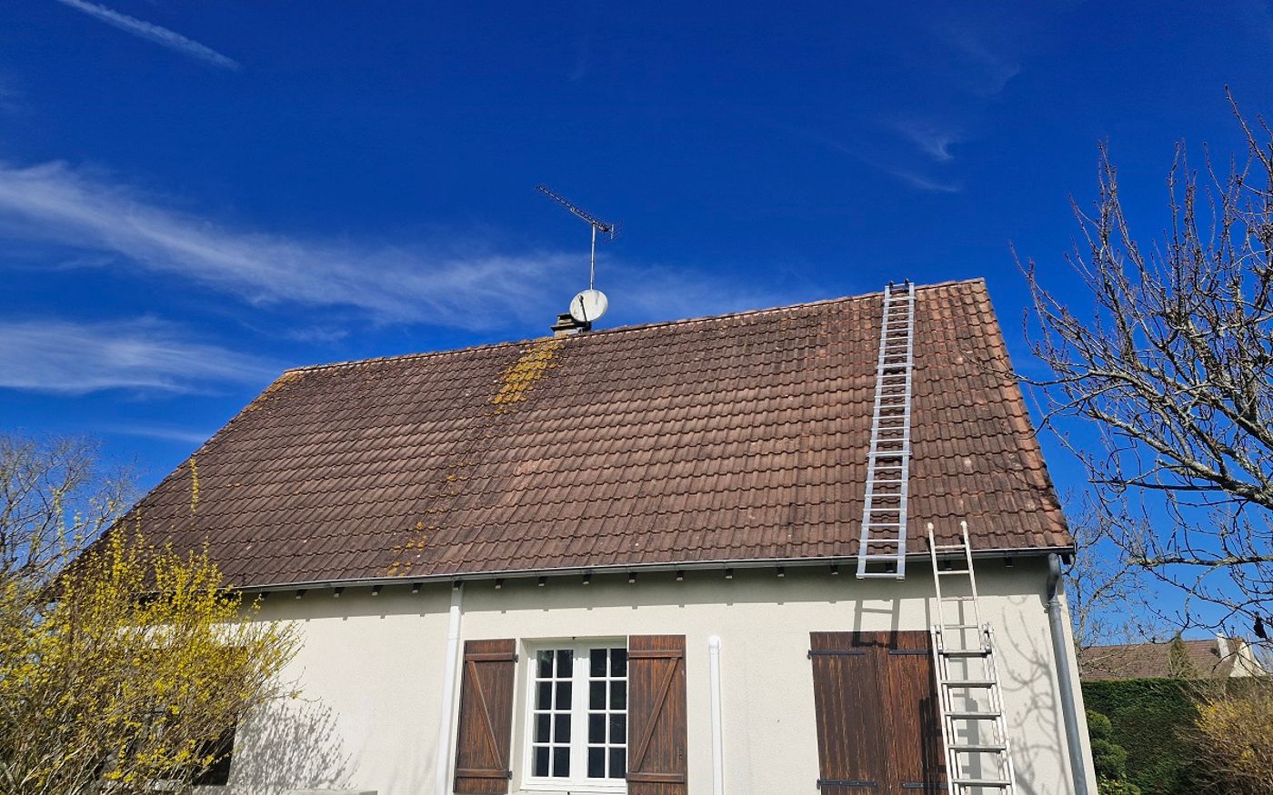 Toiture envahie de mousses avant traitement à Douadic