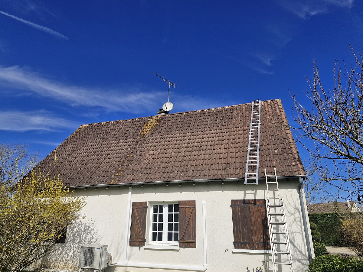 Demoussage de toiture tournon saint martin 36220